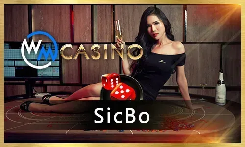 Craps Basics